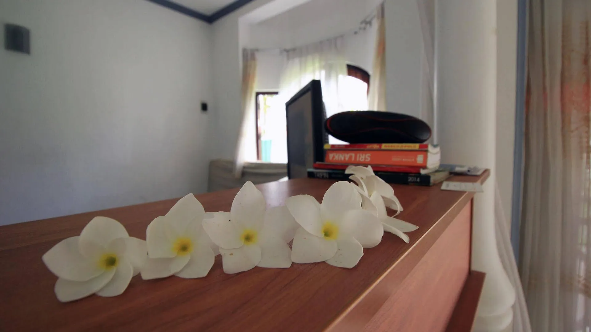 Flipflop Hostel Negombo